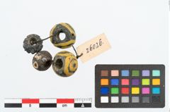 Foto von Glasaugenperle (NHMW-PRAE-026026)